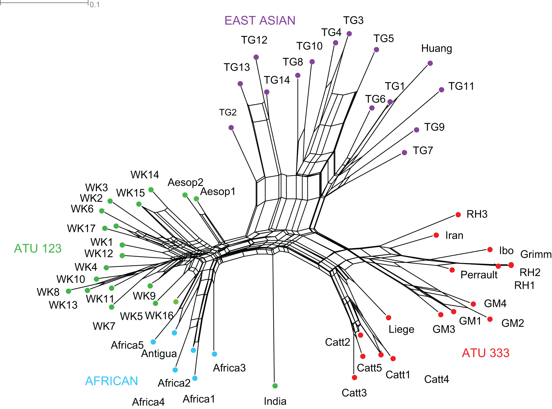 Phylogenetic network of Little Red Riding Hood (Tehrani 2013, fig. 4)